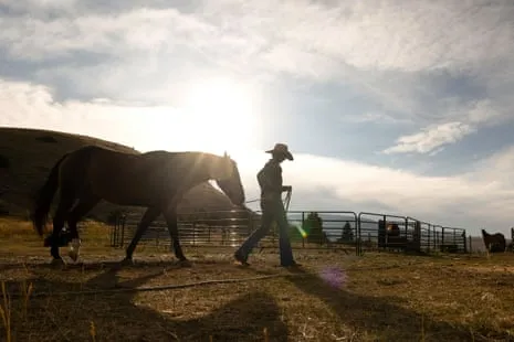 Discover the US Female Ranchers Redefining Contemporary Ranching