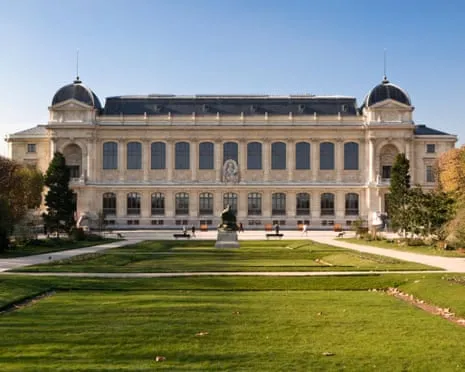 Priceless Golden Samples Taken in Bold Robbery at France's National Institution