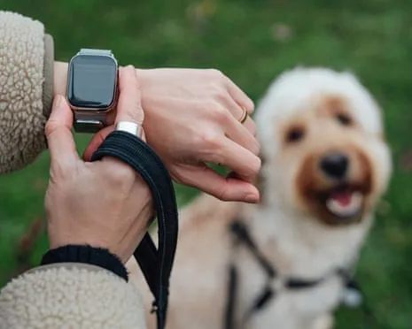 The Honest Scoop Concerning Fitness Trackers? Living Improves Without a Hectoring Device on Your Wrist